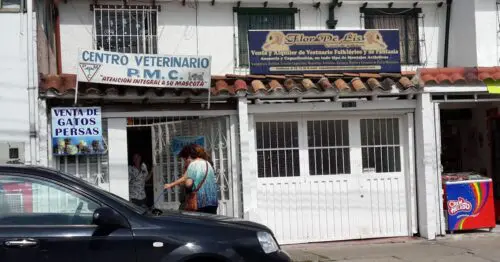 CENTRO DE VETERINARIO PMC BOGOTÁ CENTRO DE VETERINARIO PMC BOGOTÁ